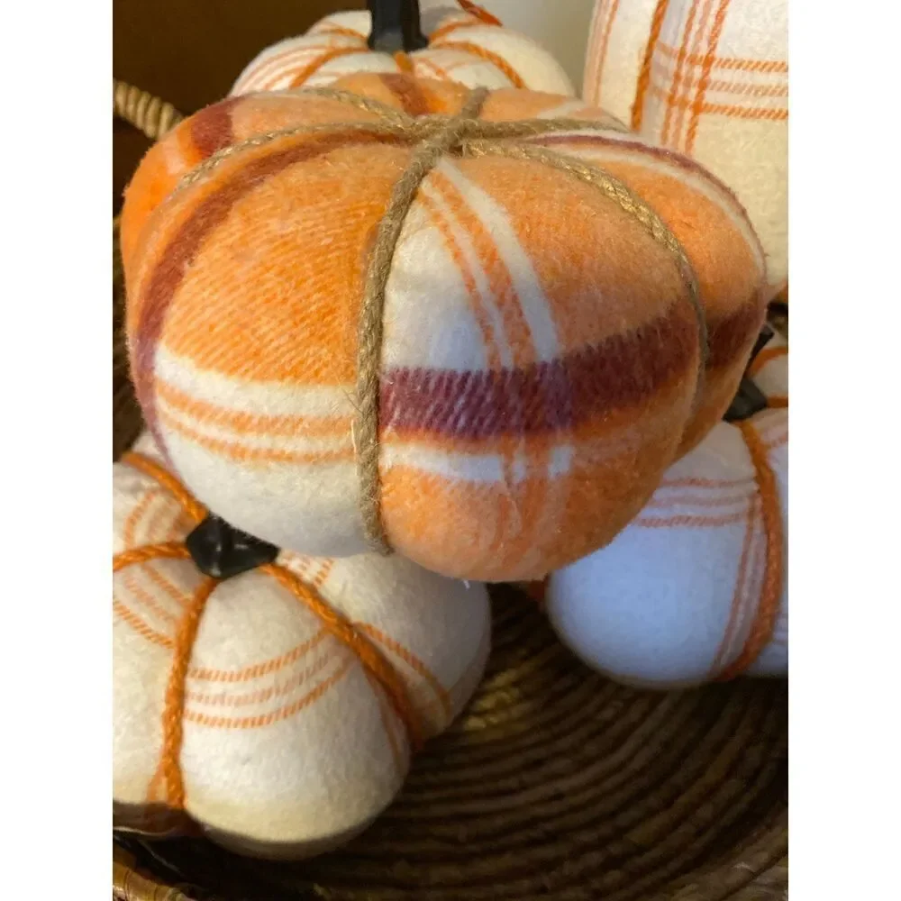 hyde and eek pumpkin decor